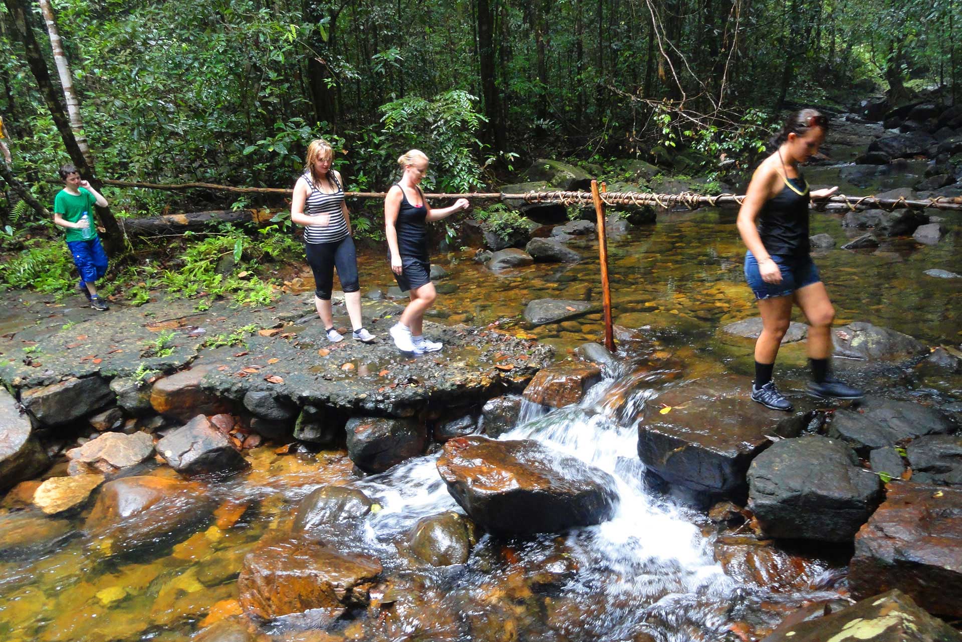 Kithulgala Rain forest Walk