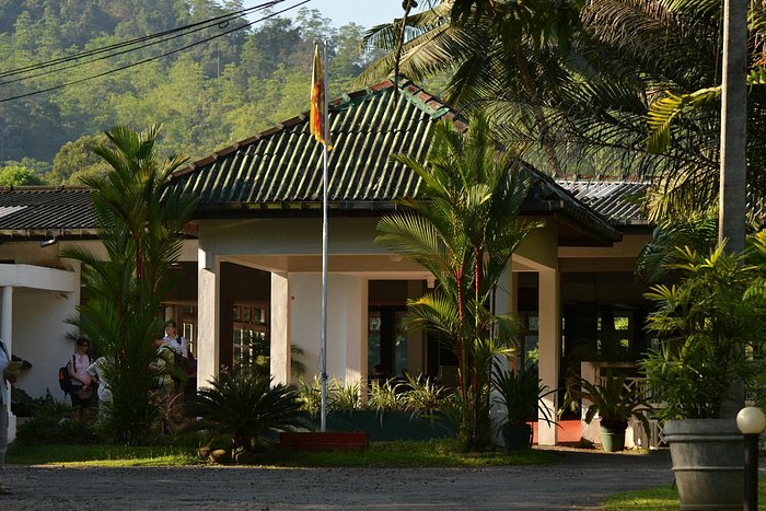 Kithulgala Rest House