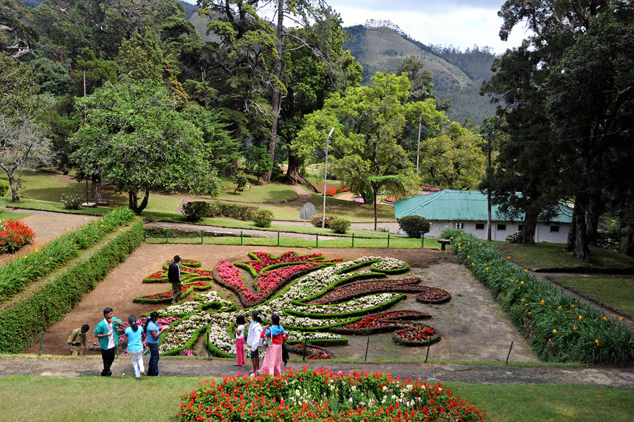 1-Day Tour Itinerary in Nuwara Eliya