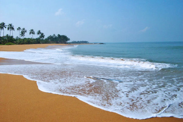 1-Day City Tour in Negombo